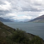 NZ_29