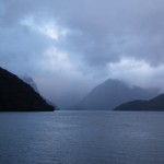 NZ_37