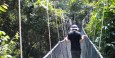 Harrie op de canopy walk